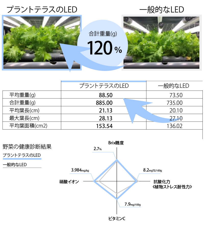 プラントテラス1115の製品詳細｜トライテラス